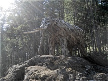 Life-size mastodon at a wilderness location in Southern BC, Canada